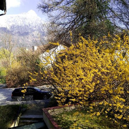 Ferienappartement Thumseestrasse バートライヘンハル エクステリア 写真